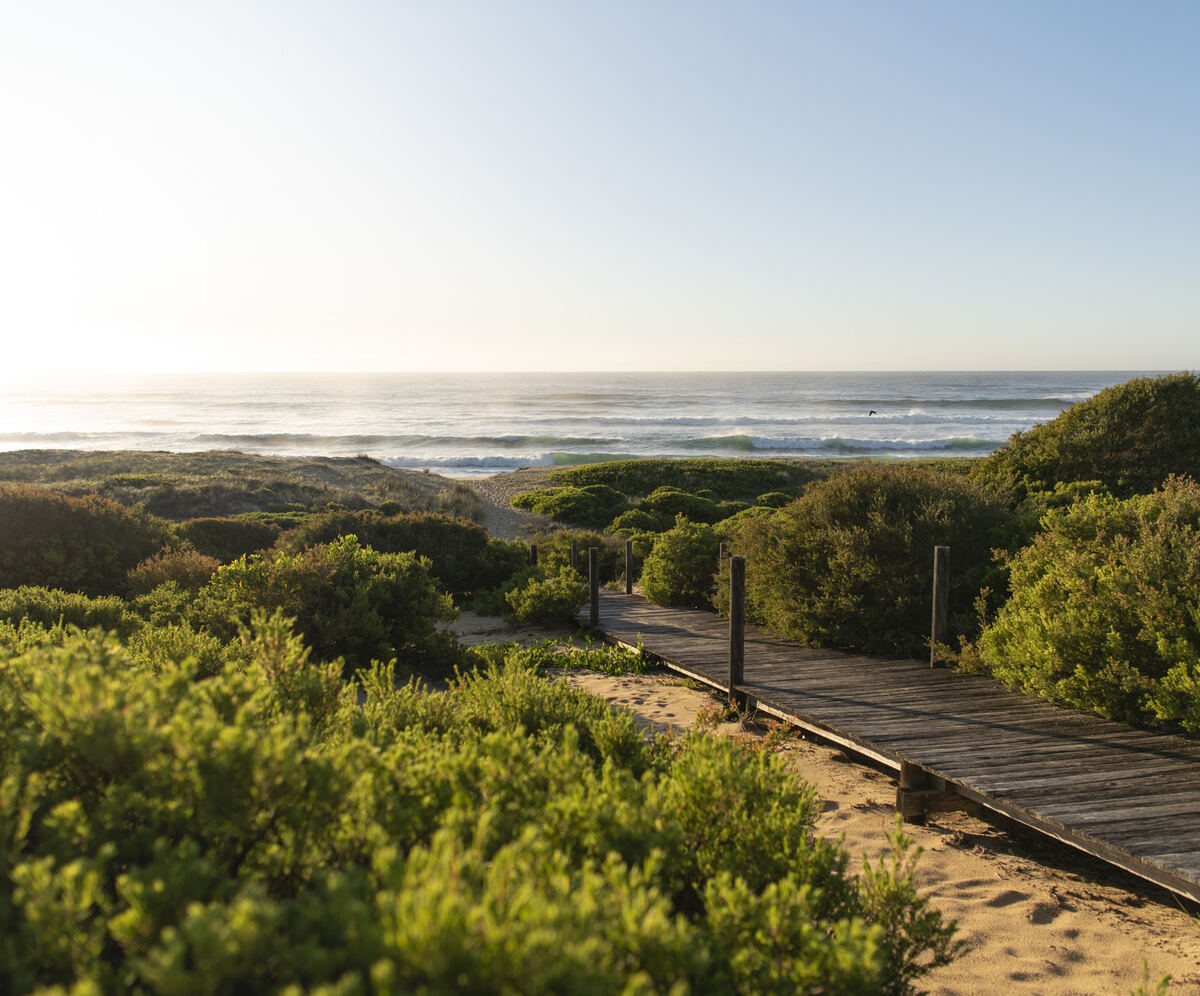 Direct beach access from Wairo Beach Holiday Park to Wairo Beach.