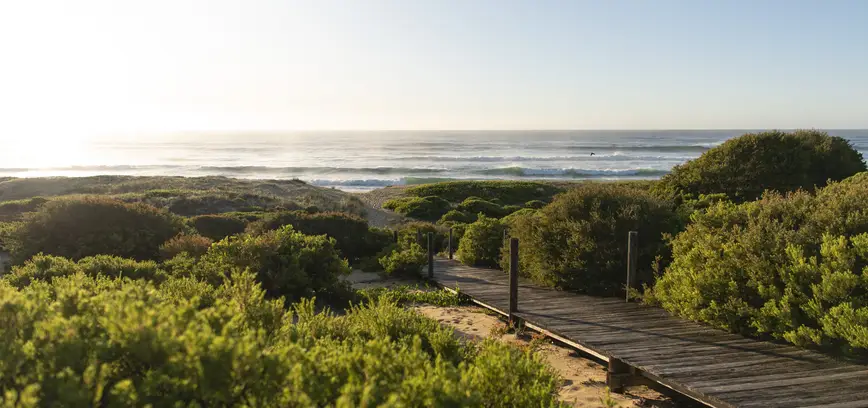 Direct beach access from Wairo Beach Holiday Park to Wairo Beach.
