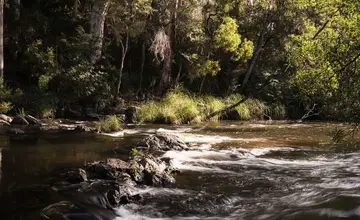Scenic views of the Yarra River near Warburton Holiday Park.